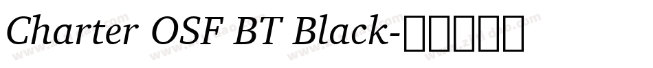 Charter OSF BT Black字体转换